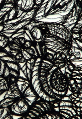 Can’t See The Forest For The Trees-Craft National 2012 & Thought&nbsp;Splatter