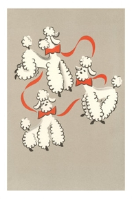 Poodle Time!-First Edition And-Some Of My Favorite&nbsp;Photos