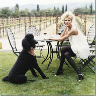 Poodle Time!-Poodles In Fashion-Inspired by Fashion&nbsp;Week