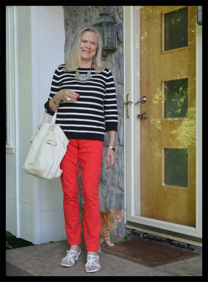 Black, White, Red and Tabby&nbsp;Yellow