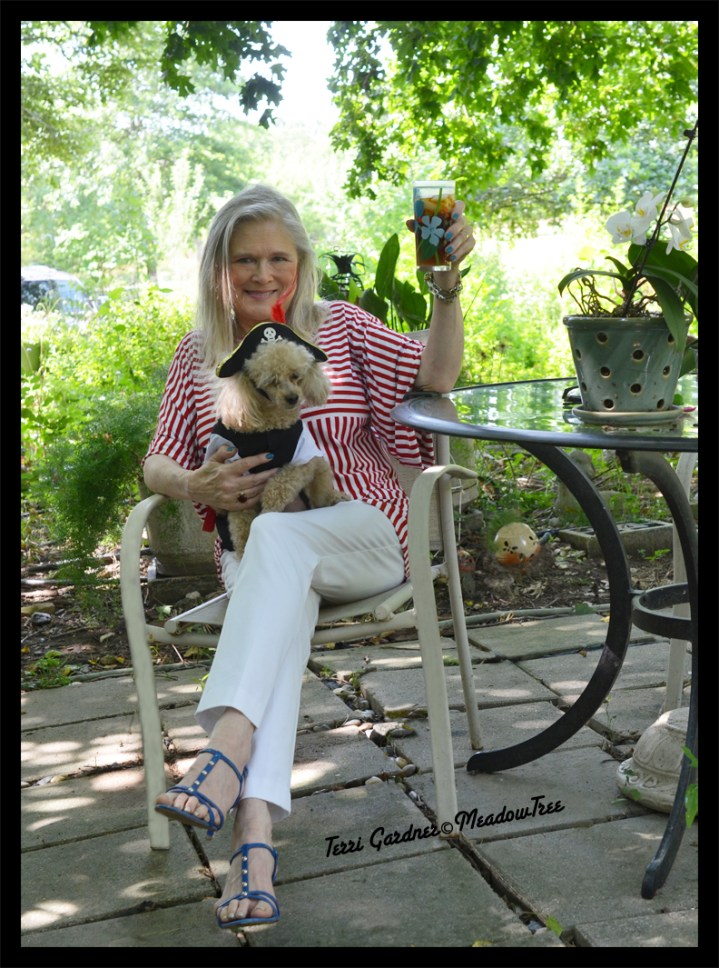 My Sew Sew Life-Hanging With Pirates and Drinking Rum,&nbsp;Arrrr…