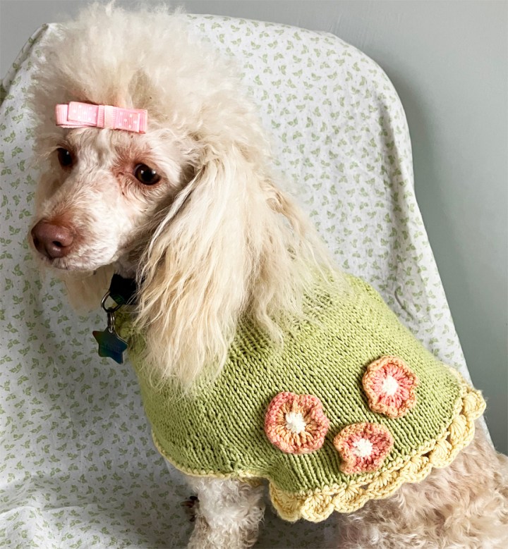 A Knitted Cape for&nbsp;Lynnie