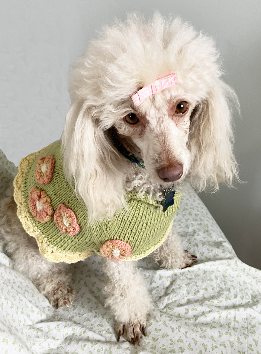 A Knitted Cape for Lynnie – MeadowTree Style