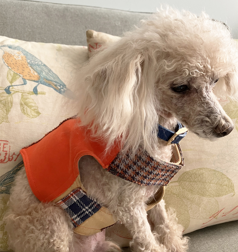 新品　gypsohila Poodle Vest Sewing For Small Dogs, McCalls 5998, and FABSCRAP – MeadowTree Style